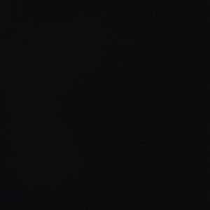 Meet your Posher, Josie